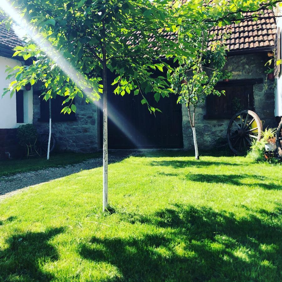 The Hunter House Villa Ciudanovita Exterior photo